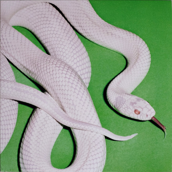 Deftones – Private Music vinyl cover