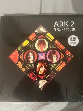 Flaming Youth – Ark 2 cover