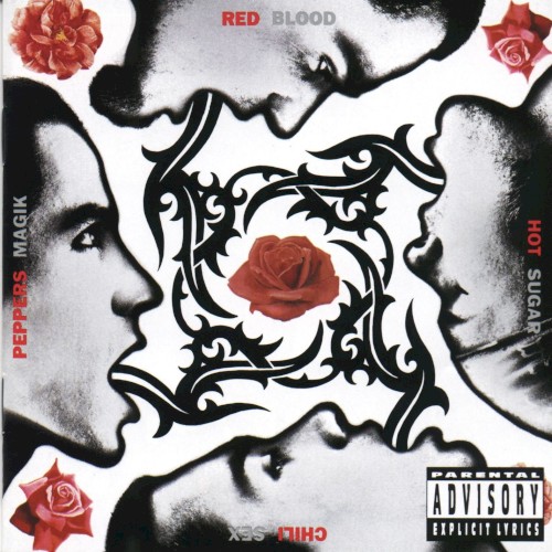 Red Hot Chili Peppers – Blood Sugar Sex Magik vinyl cover