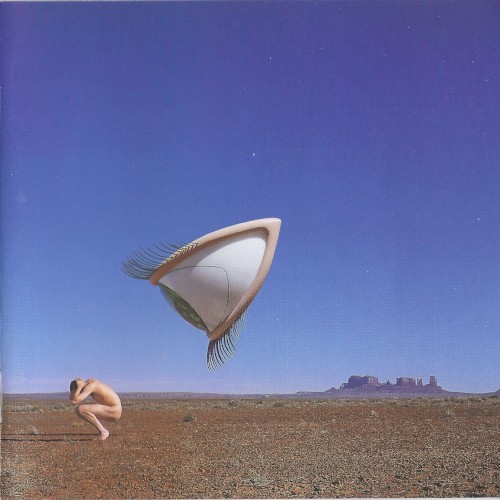The Cranberries – Bury The Hatchet vinyl cover