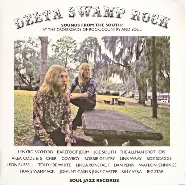 Various Artists – Delta Swamp Rock (Sounds From The South: At The Crossroads Of Rock, Country And Soul) vinyl cover